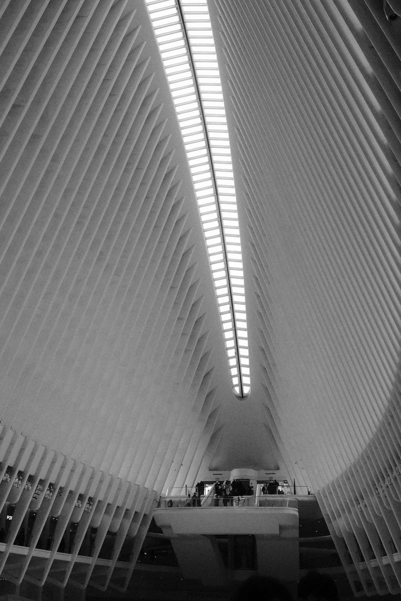 The Oculus, NYC