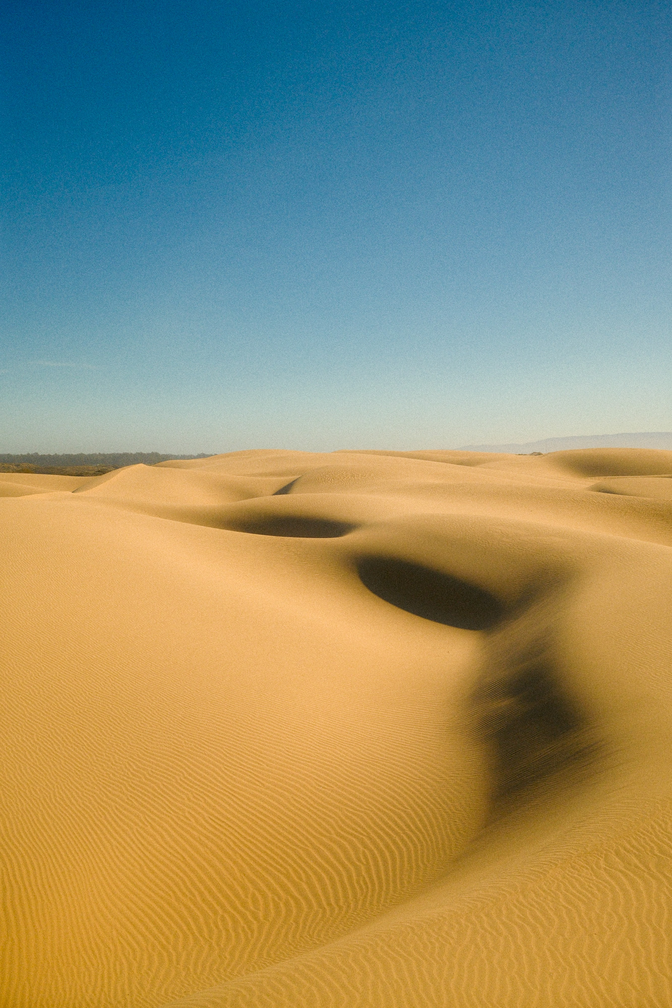 Sand dunes at Pismo Beach