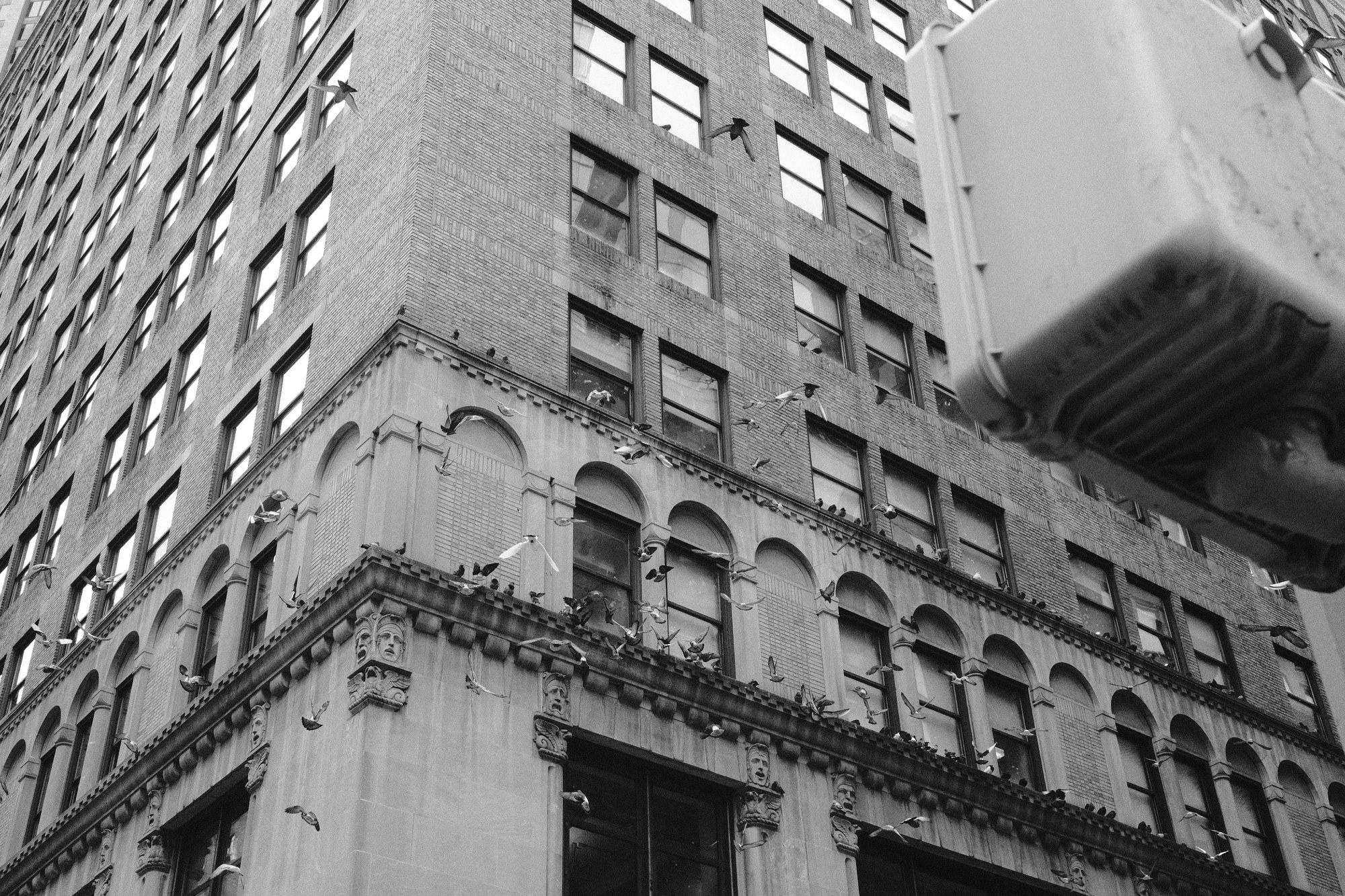 Black and white ornate building facade in New York