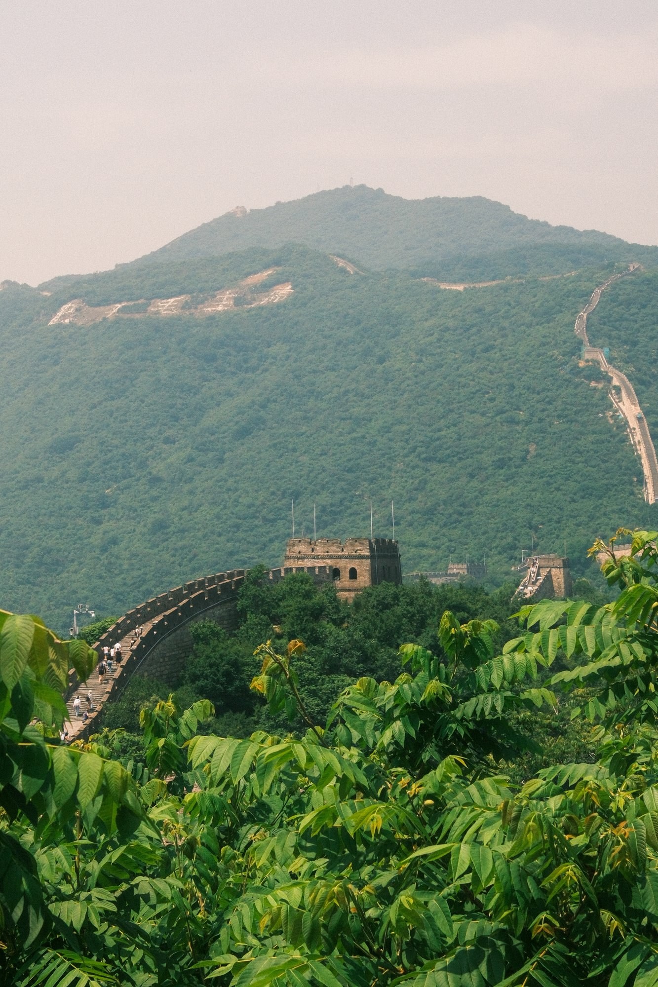 The Great Wall winding over green mountains